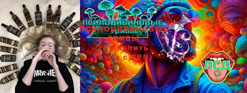 Галлюциногенные грибы Psilocybine cubensis  Еманжелинск 